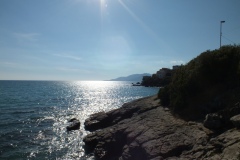 DSCF0005