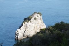 DSCF0040