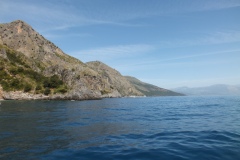 DSCF0195