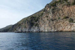 DSCF0197