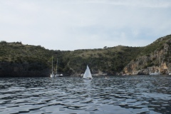 DSCF0205