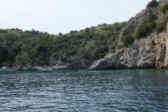 DSCF0224