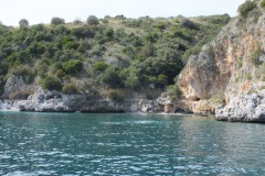 DSCF0225