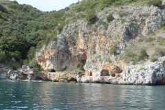 DSCF0227