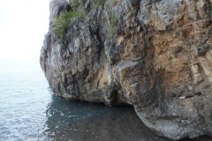 DSCF0230