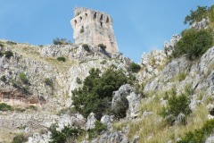DSCF0232