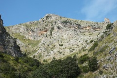 DSCF0233