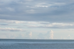 DSCF2358