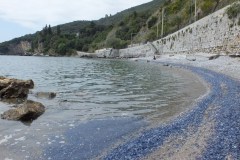 DSCF2369