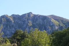DSCF2388