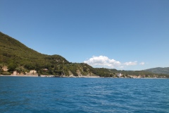 DSCF2478