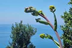 0a80946b-6b78-4009-a9a3-74dcd273692f-1